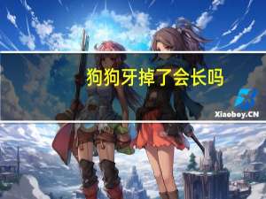 狗狗牙掉了会长吗