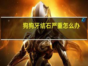 狗狗牙结石严重怎么办