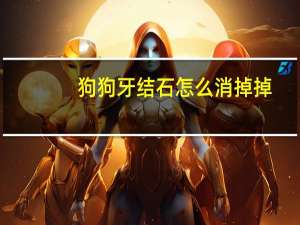 狗狗牙结石怎么消掉掉