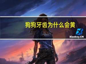 狗狗牙齿为什么会黄
