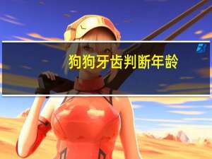 狗狗牙齿判断年龄