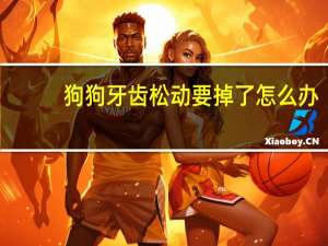狗狗牙齿松动要掉了怎么办
