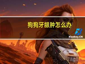 狗狗牙龈肿怎么办