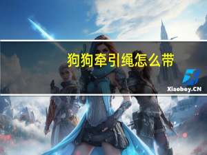 狗狗牵引绳怎么带