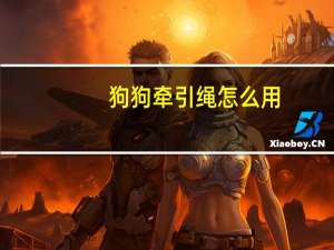 狗狗牵引绳怎么用