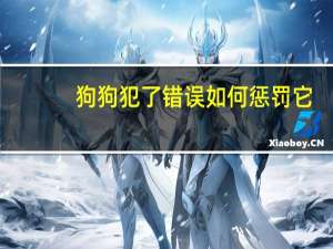 狗狗犯了错误如何惩罚它