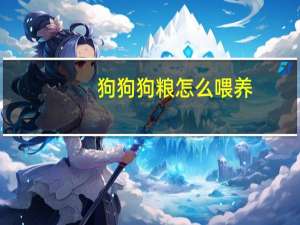 狗狗狗粮怎么喂养