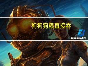 狗狗狗粮直接吞