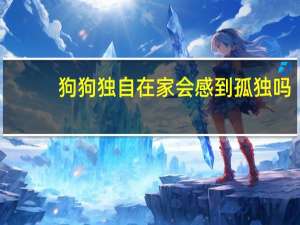 狗狗独自在家会感到孤独吗