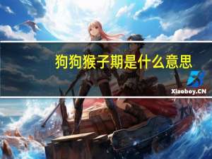 狗狗猴子期是什么意思