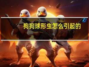 狗狗球形虫怎么引起的