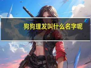 狗狗理发叫什么名字呢