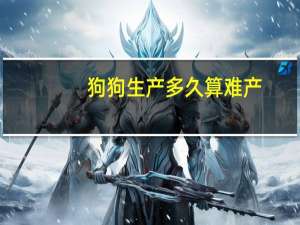 狗狗生产多久算难产