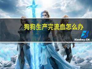 狗狗生产完流血怎么办