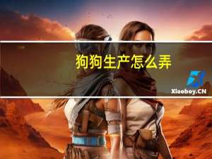 狗狗生产怎么弄