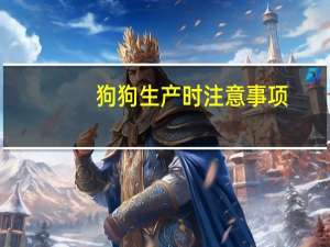狗狗生产时注意事项