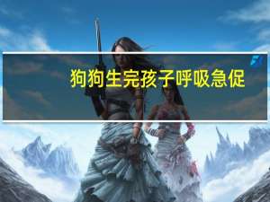 狗狗生完孩子呼吸急促