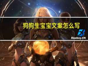 狗狗生宝宝文案怎么写