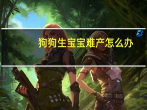 狗狗生宝宝难产怎么办