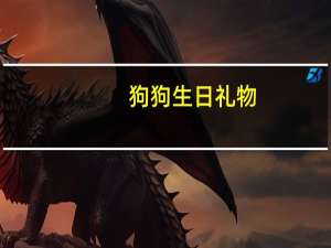 狗狗生日礼物