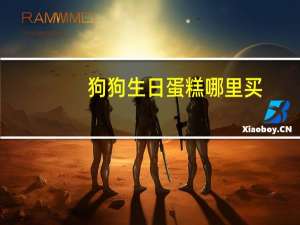 狗狗生日蛋糕哪里买