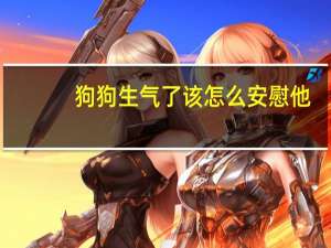 狗狗生气了该怎么安慰他
