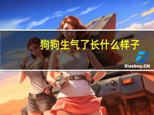 狗狗生气了长什么样子