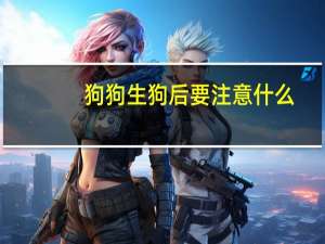 狗狗生狗后要注意什么