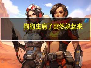 狗狗生病了突然躲起来