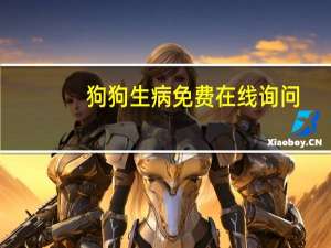 狗狗生病免费在线询问