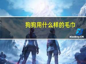 狗狗用什么样的毛巾