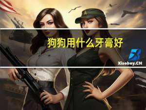 狗狗用什么牙膏好