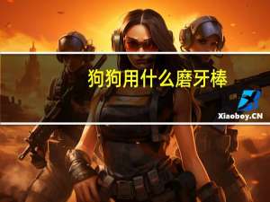 狗狗用什么磨牙棒