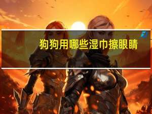 狗狗用哪些湿巾擦眼睛