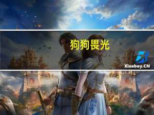 狗狗畏光