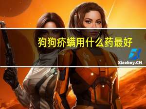 狗狗疥螨用什么药最好