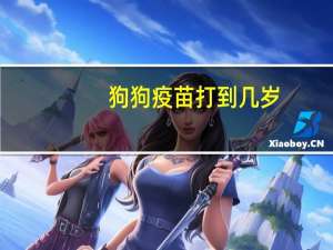 狗狗疫苗打到几岁