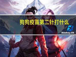 狗狗疫苗第二针打什么