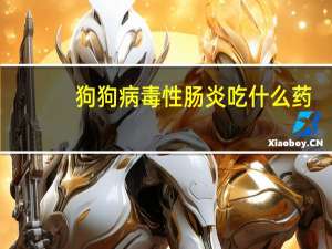 狗狗病毒性肠炎吃什么药