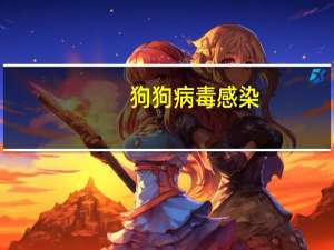 狗狗病毒感染