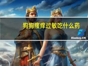 狗狗瘙痒过敏吃什么药