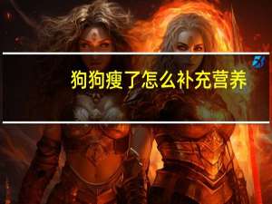 狗狗瘦了怎么补充营养