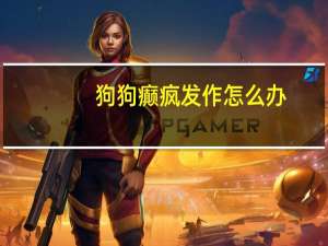 狗狗癫疯发作怎么办