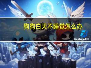 狗狗白天不睡觉怎么办