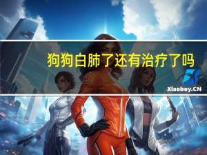 狗狗白肺了还有治疗了吗