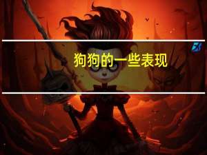 狗狗的一些表现