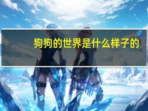 狗狗的世界是什么样子的