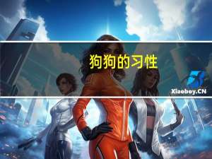 狗狗的习性