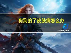狗狗的了皮肤病怎么办
