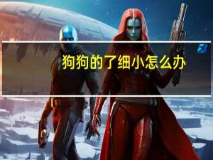 狗狗的了细小怎么办